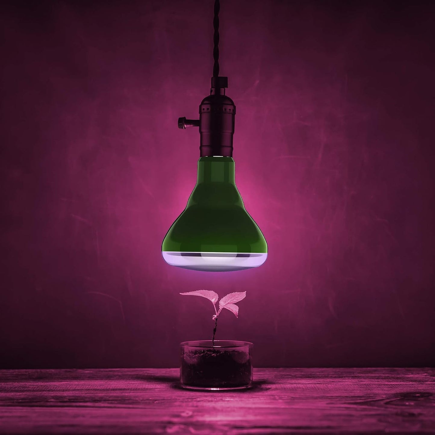 Bombilla LED espectro completo BR30 no regulable Hydro Grow
