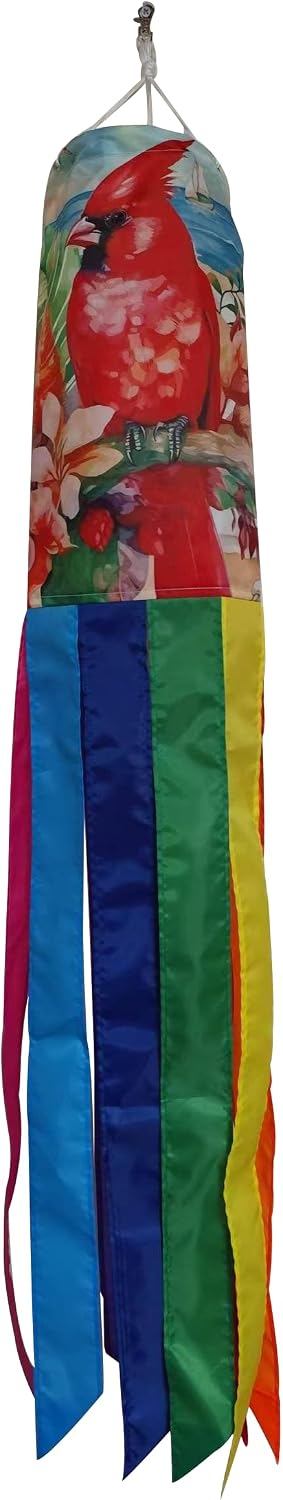 Bandera playa 40pulg colores arcoíris para veleros