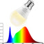 Bombilla LED cultivo A19 E26 12W espectro completo para plantas