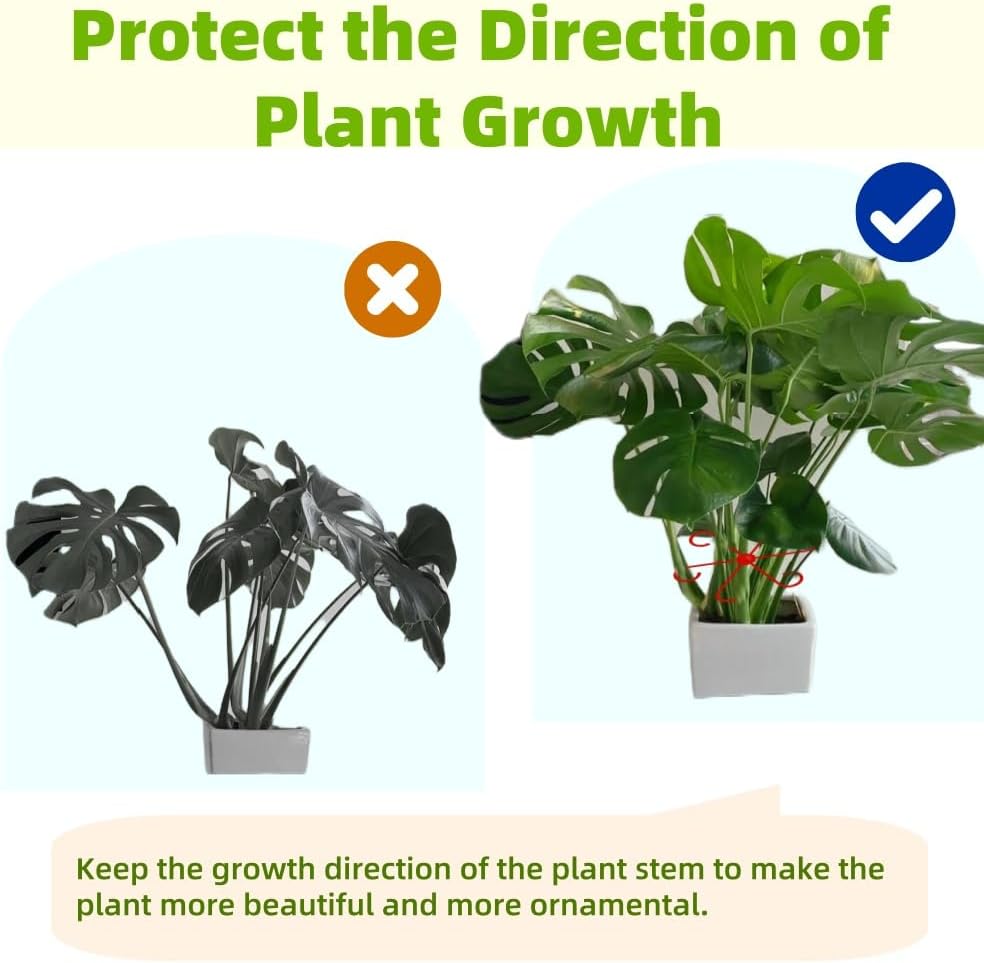 12 Pzas Soporte Tallos Plantas Trepadoras Plástico