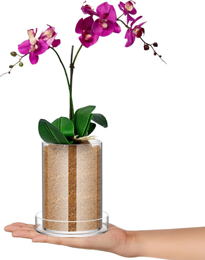 Macetas acrílico transparente con drenaje orquídeas suculentas