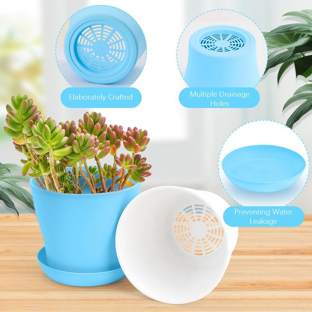 Macetas 5pulg 10pzas suculentas plantas interiores drenaje