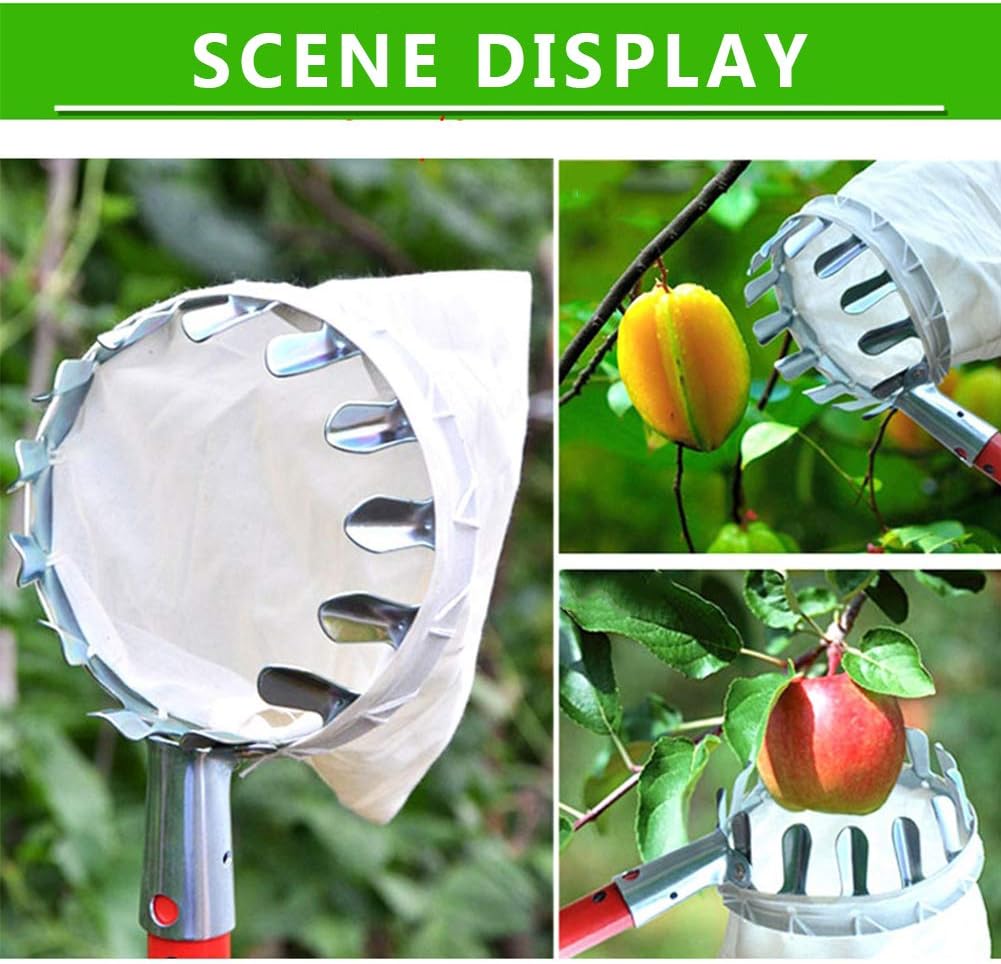 Cesta recolectora frutas 5.5in con canasta