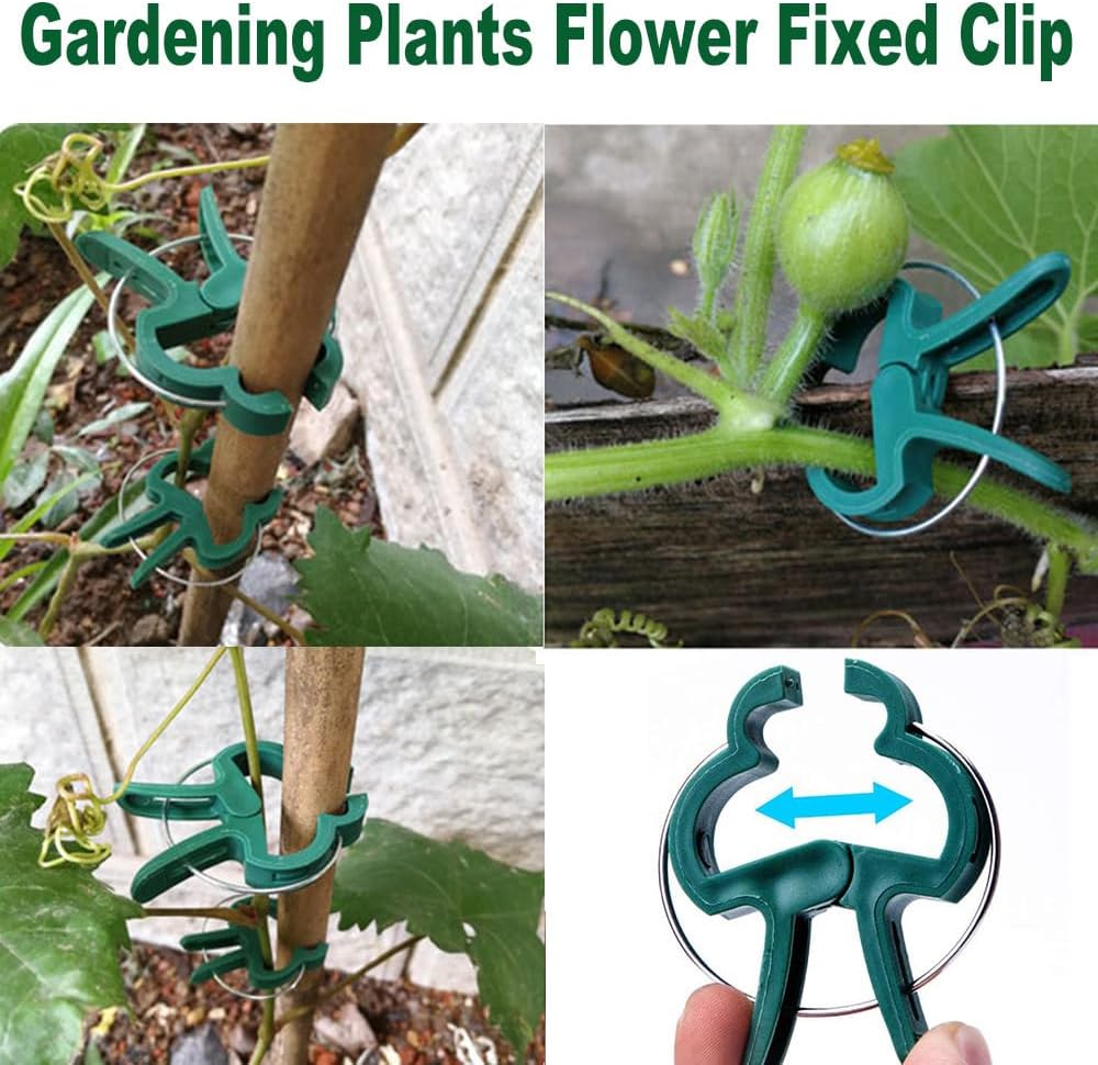 60 Clips Soporte Plantas Jardín 2 Tamaños Reutilizables