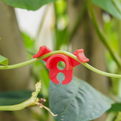 60 Clips Entrenamiento Plantas 90 Grados Suaves Rojo