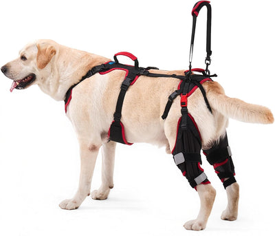 Rodillera perro soporte antideslizante ajustable juego 2 negro