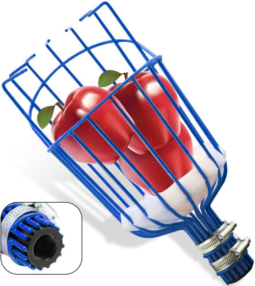 Cabezal cesta recolector frutas 3/4pulg Acme azul