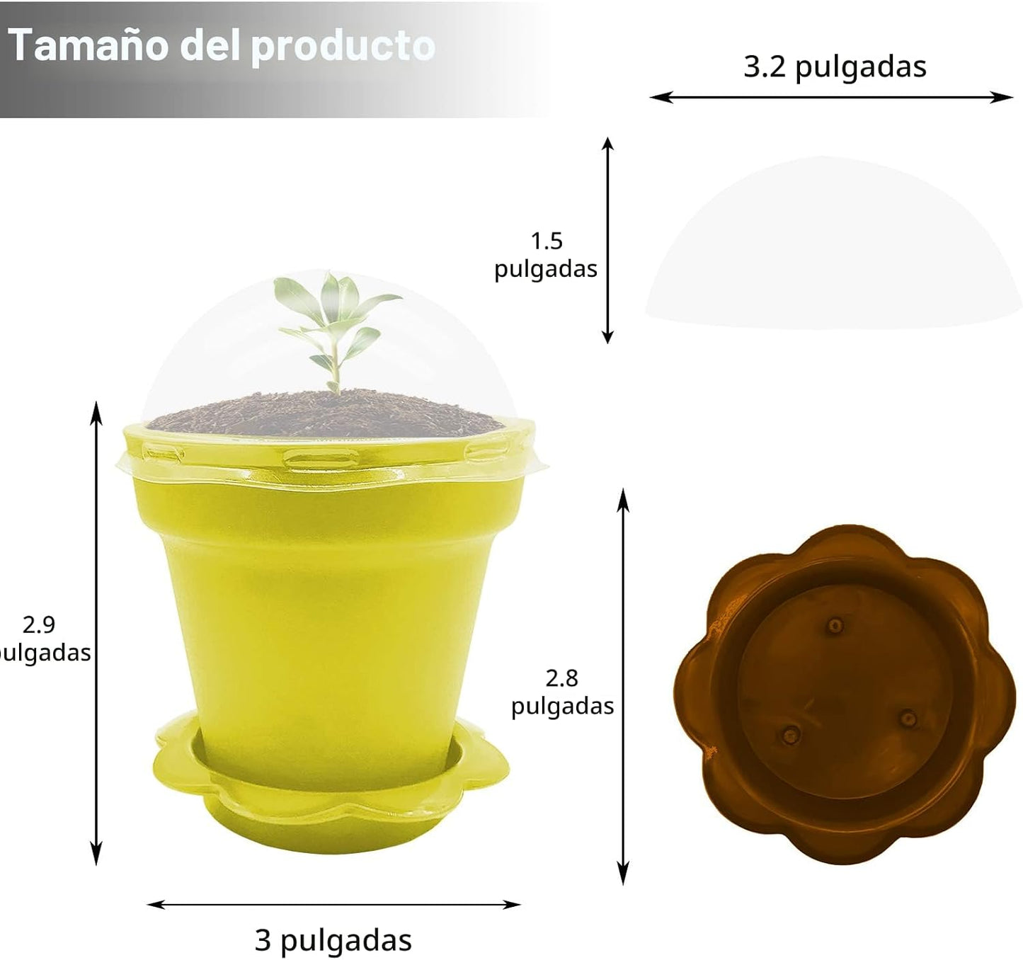 25 Macetas Cupcakes con Cúpula Niños