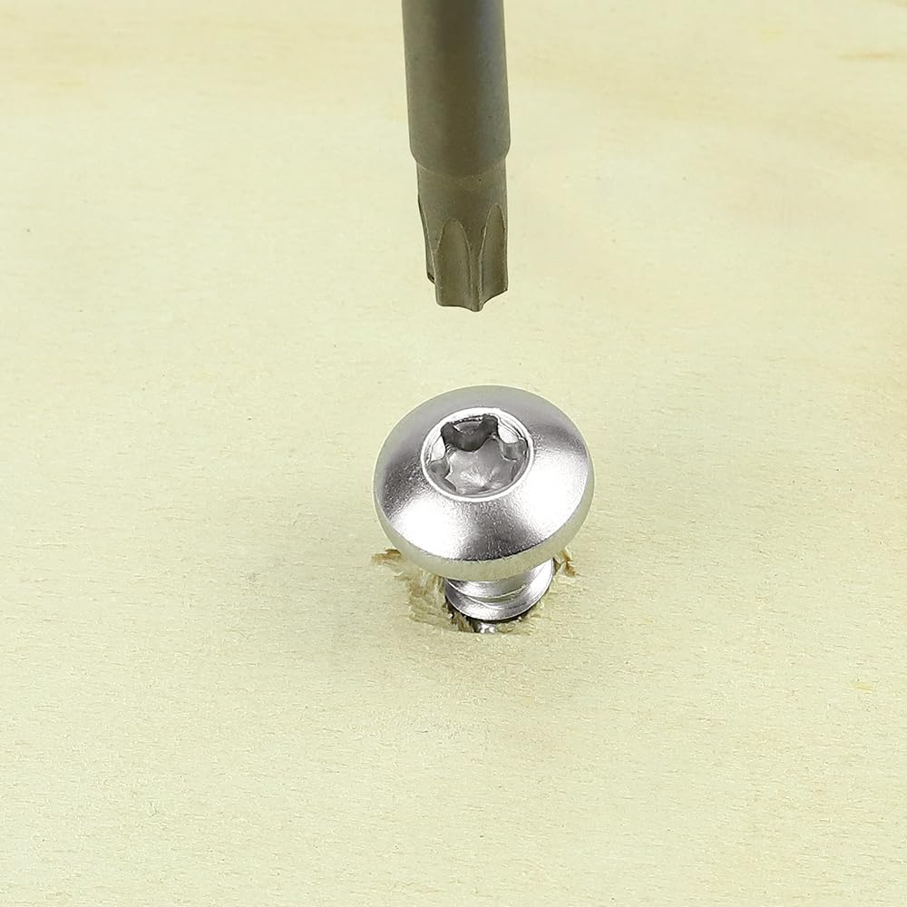 Tornillos Torx acero inox set 20
