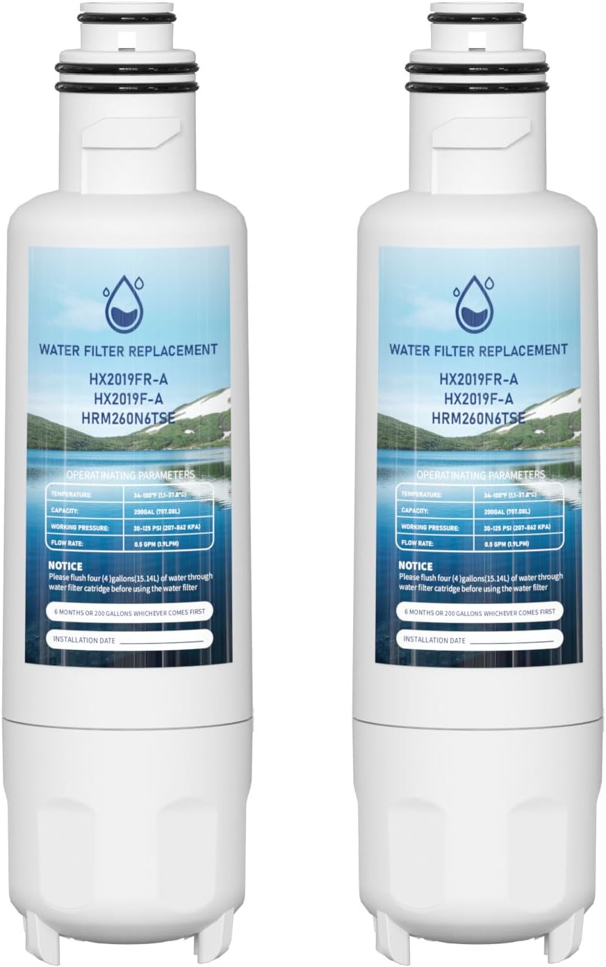 Filtro agua comp Hisense HX2019FR-A Pack 2