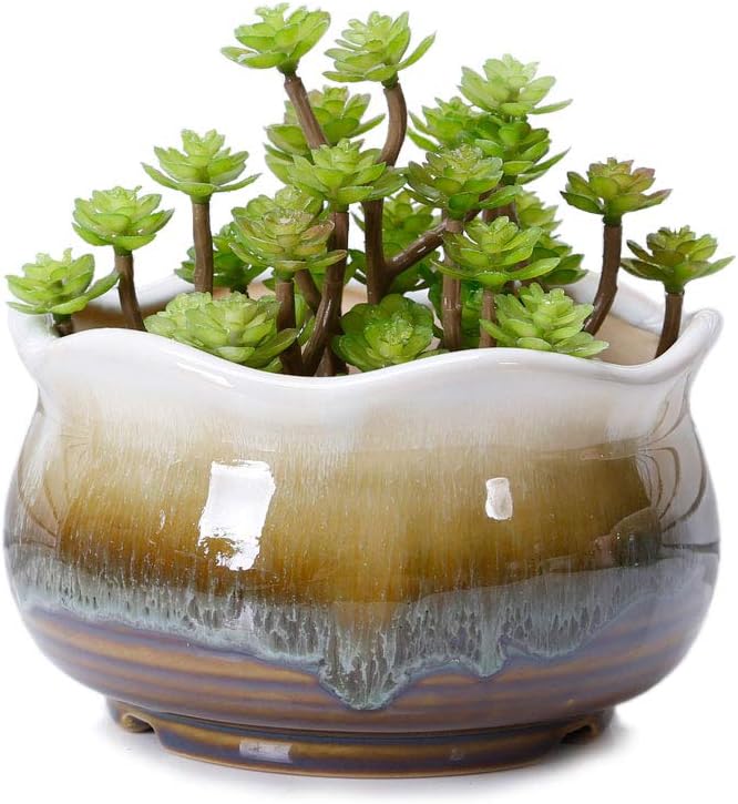 Maceta cerámica grande para suculentas cactus y bonsái marrón