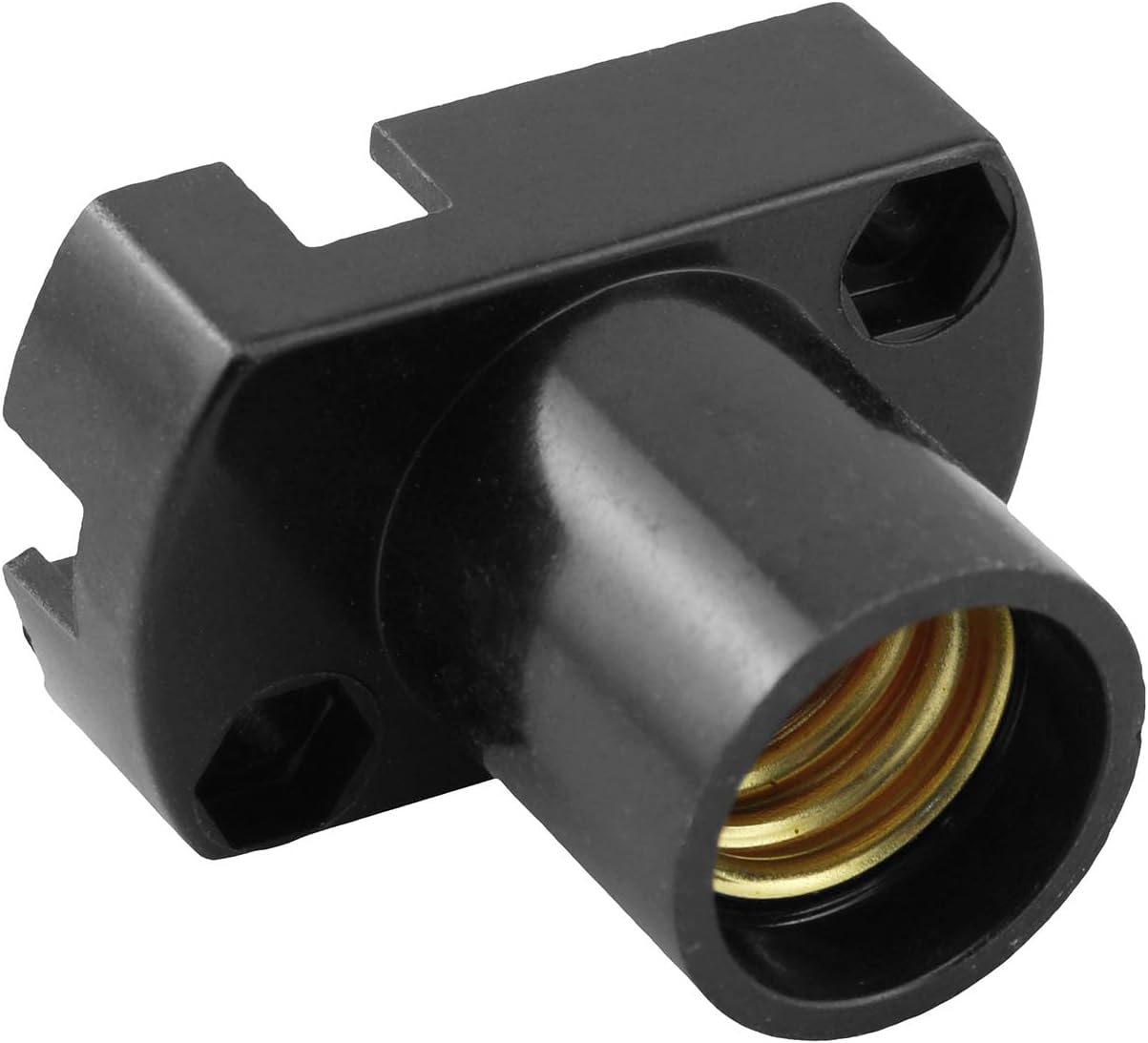 Enchufe pared estrecho E12 110-220V plástico