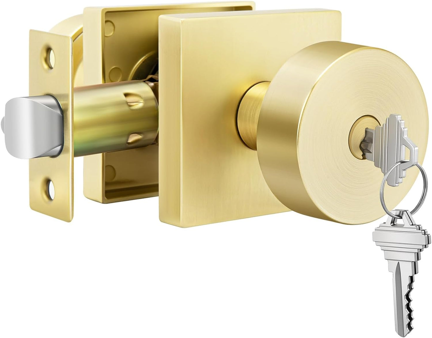 Pomos puerta exterior dorados cepillados resistente