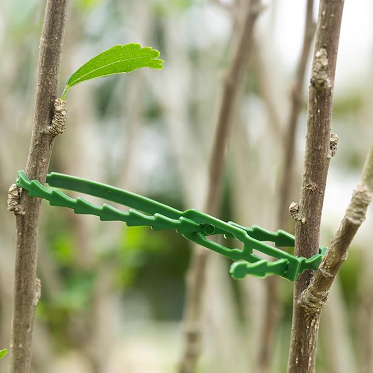 200 Lazos Ajustables para Plantas Color Verde Resistente