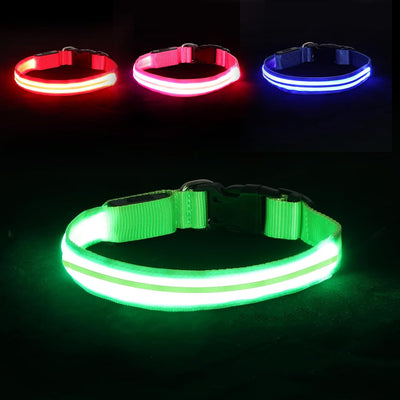Collar perro con luz LED recargable 3 modos seguridad