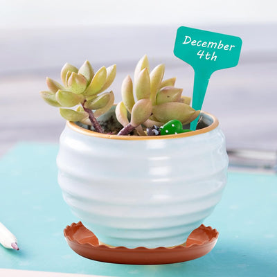 12 Pzas Platillo Plástico Onda Redonda para Plantas con Etiquetas