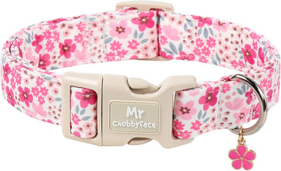 Collar perro rosa con flores hebilla plástico ajustable
