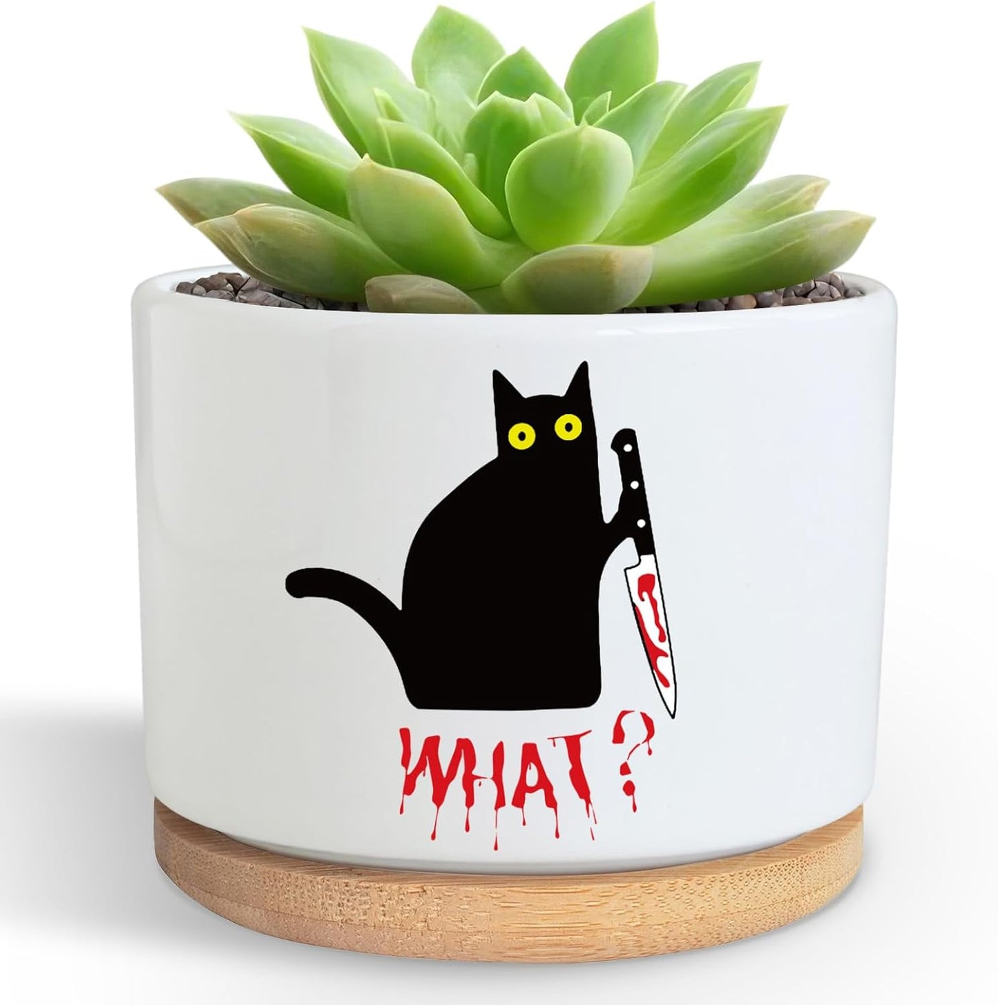 Maceta cerámica diseño gato negro para suculentas cactus