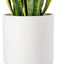 Soporte plantas moderno para interiores color marrón