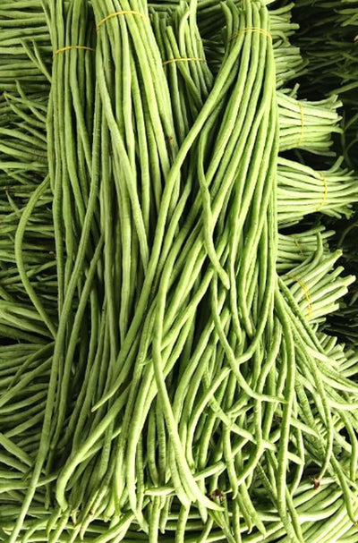 30 Semillas Frijol Largo Verde/Rojo para Jardín