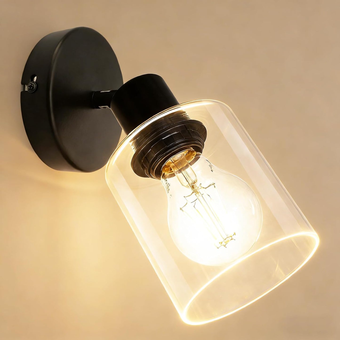 Lámpara riel negra 1 luz ajustable pantalla cristal industrial