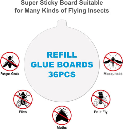 Placa goma Katchy 4.3pulg con adhesivo para trampa insectos