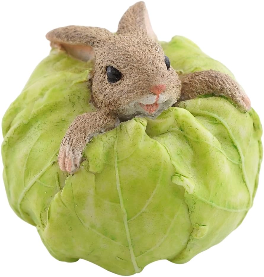 Estatua hadas terrario miniatura conejo col
