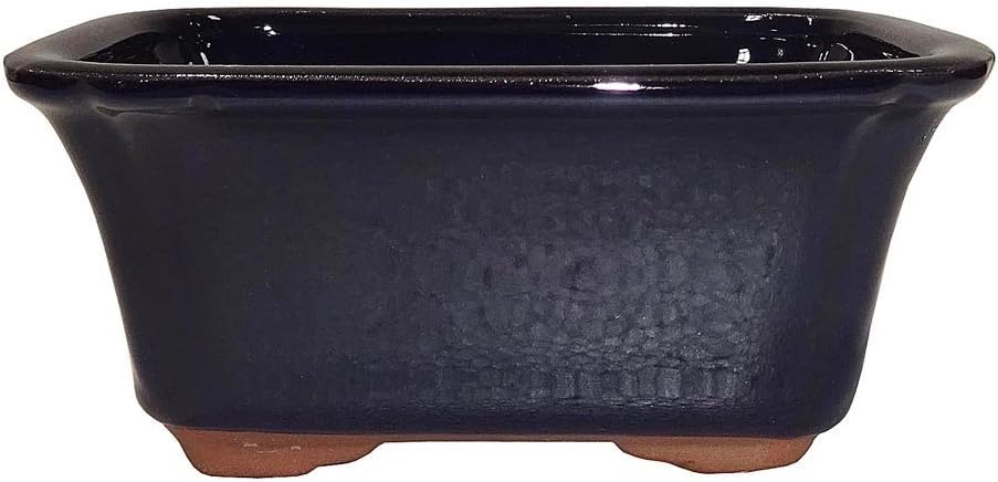 Maceta cerámica esmaltada bonsái 6pulg azul marino