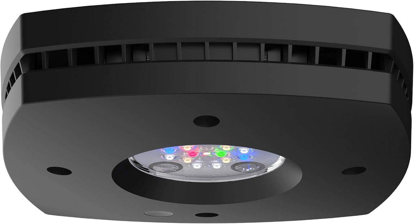 Lámpara LED agua dulce color negro