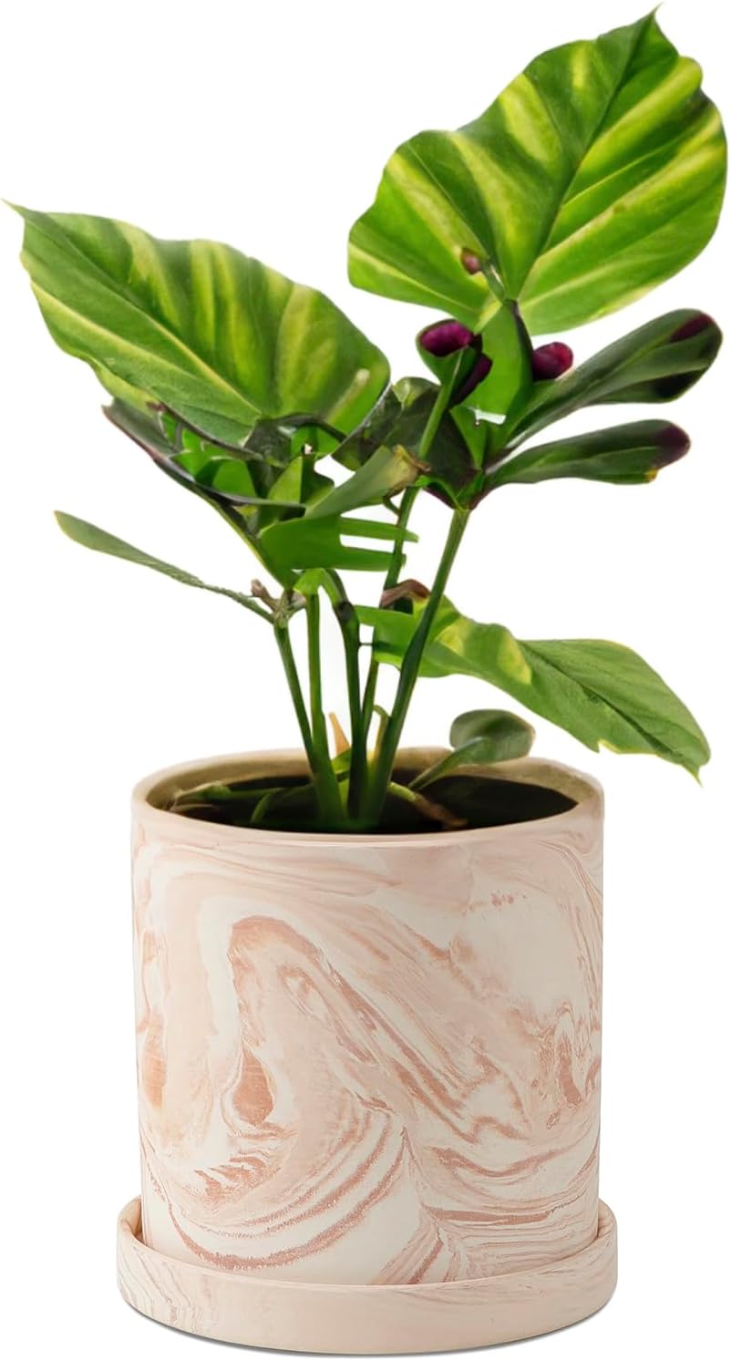 Maceta terracota 4pulg con drenaje para suculentas hogar
