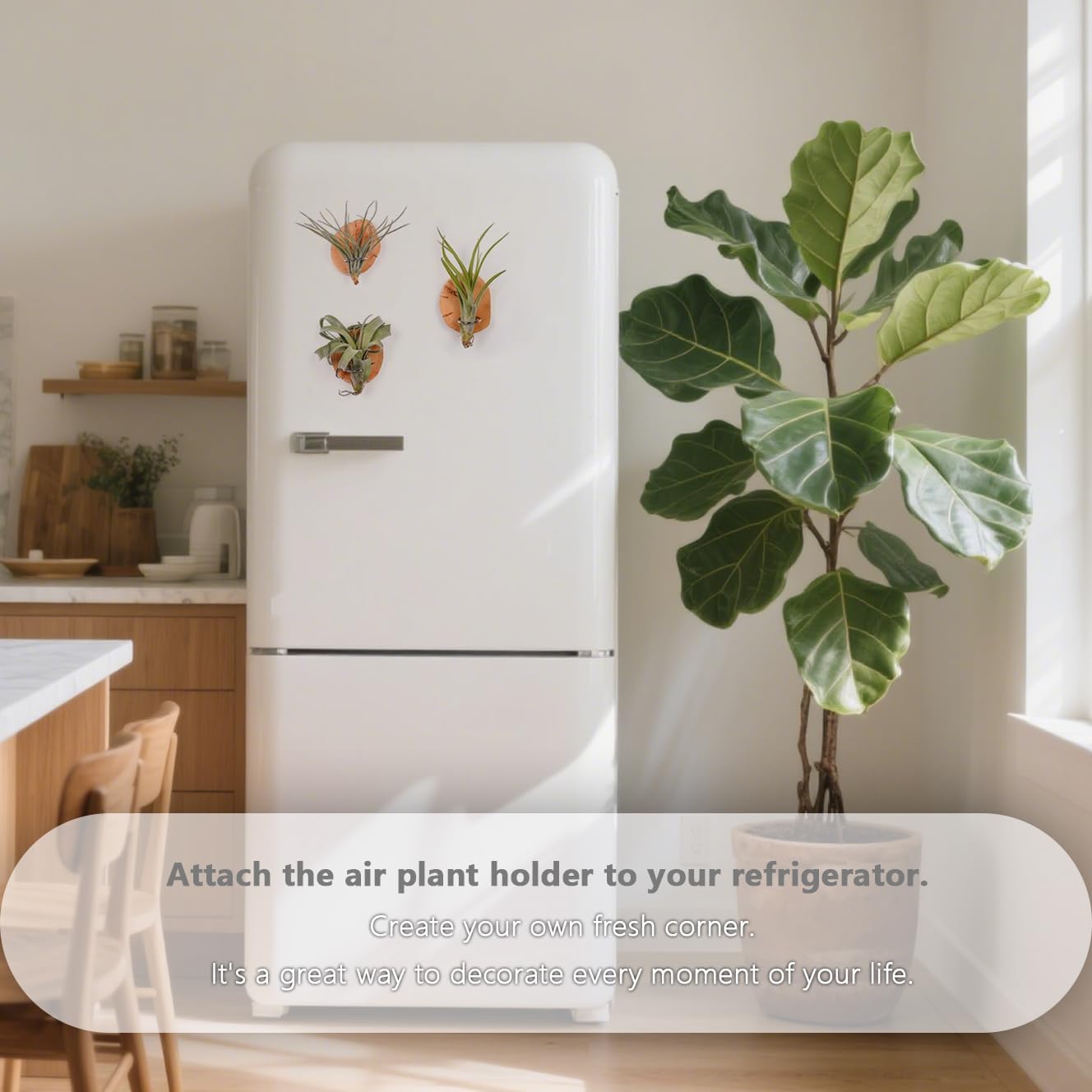 Soporte magnético para plantas de aire pared madera natural