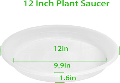 2 Pzas Bandejas Plástico Transparente para Plantas 12pulg