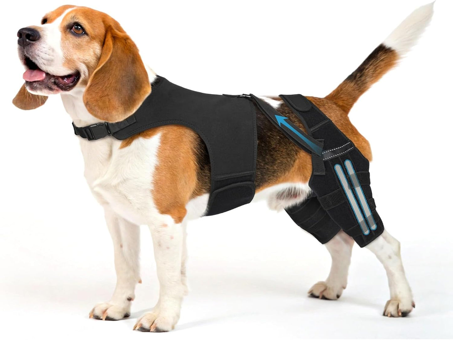 Rodillera perro soporte pierna trasera con estabilizadores metal