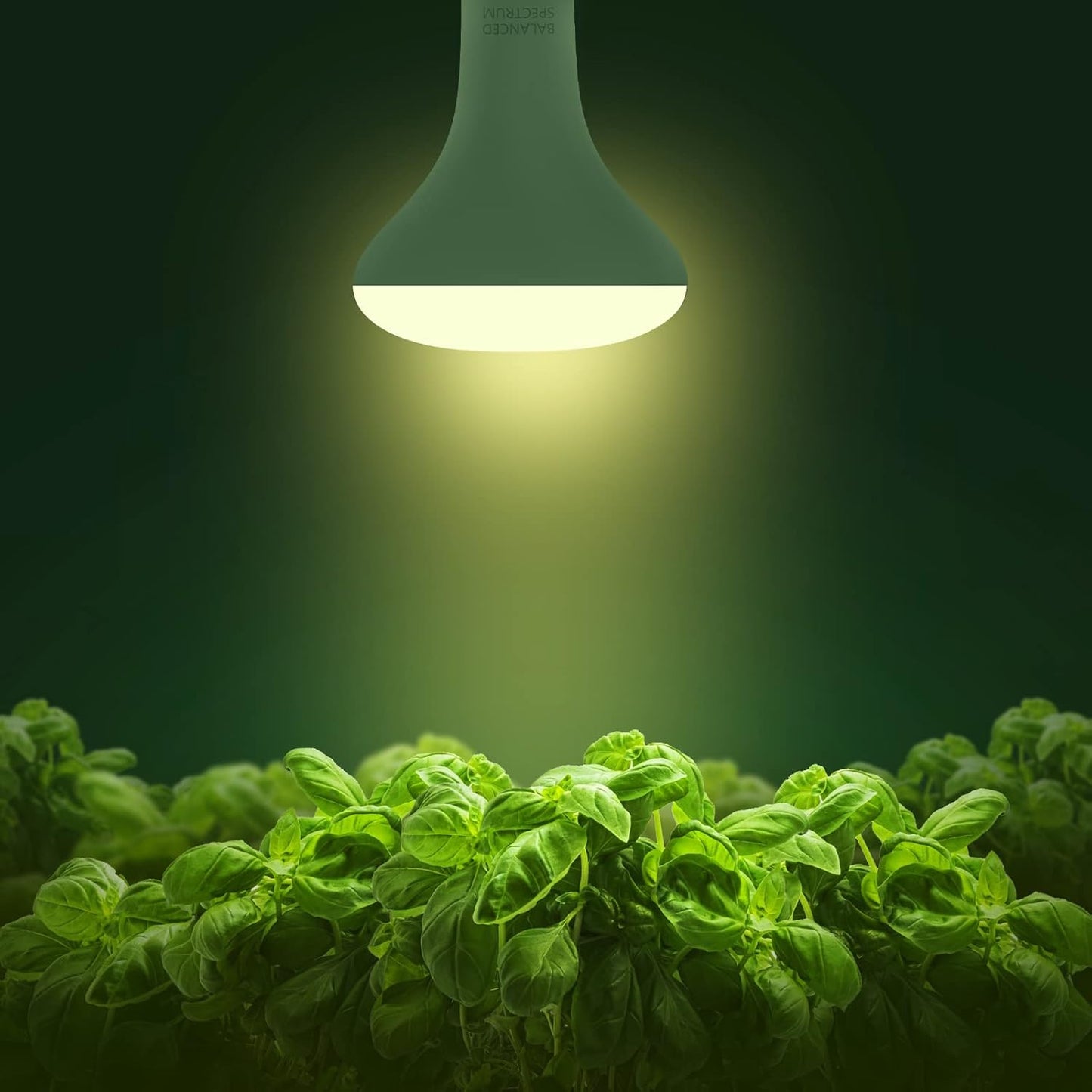 2 Pzas Bombilla LED BR30 Luz Cultivo Interior 12W