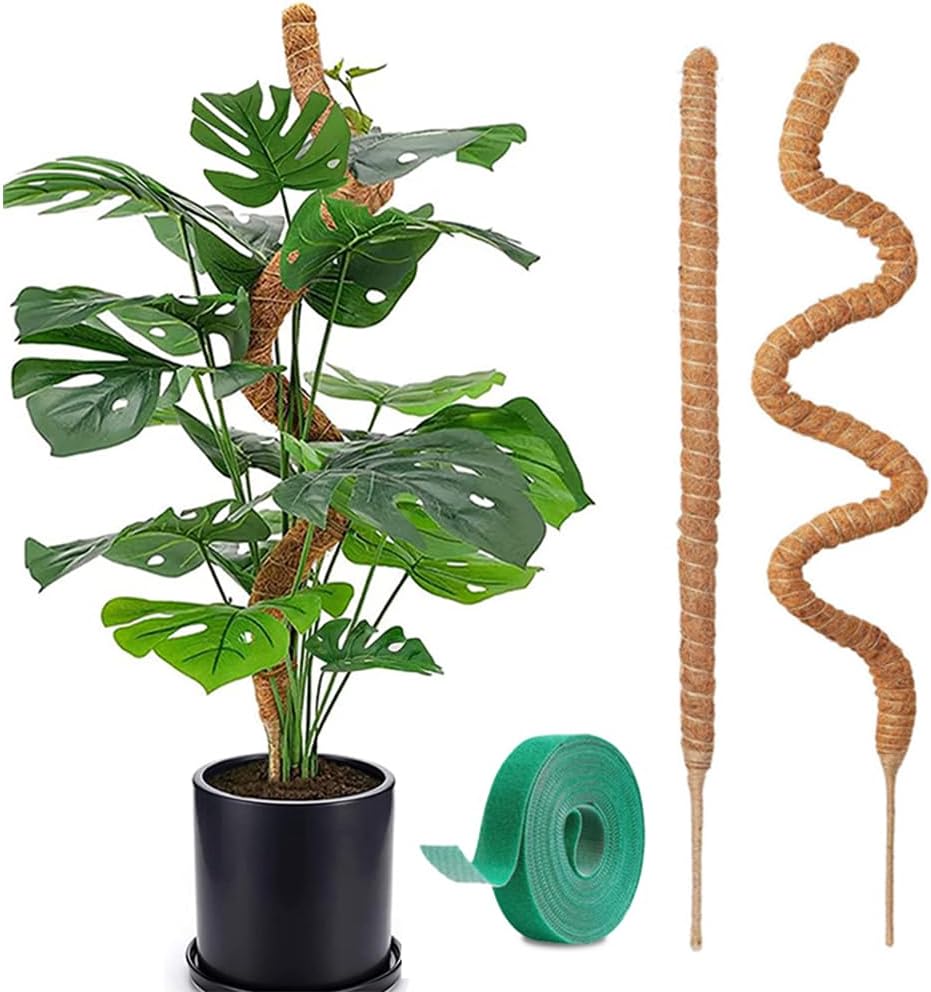 2 Postes Musgo Flexibles 28pulg para Soporte Monstera