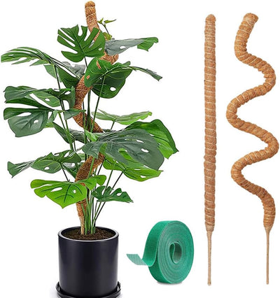 2 Postes Musgo Flexibles 28pulg para Soporte Monstera