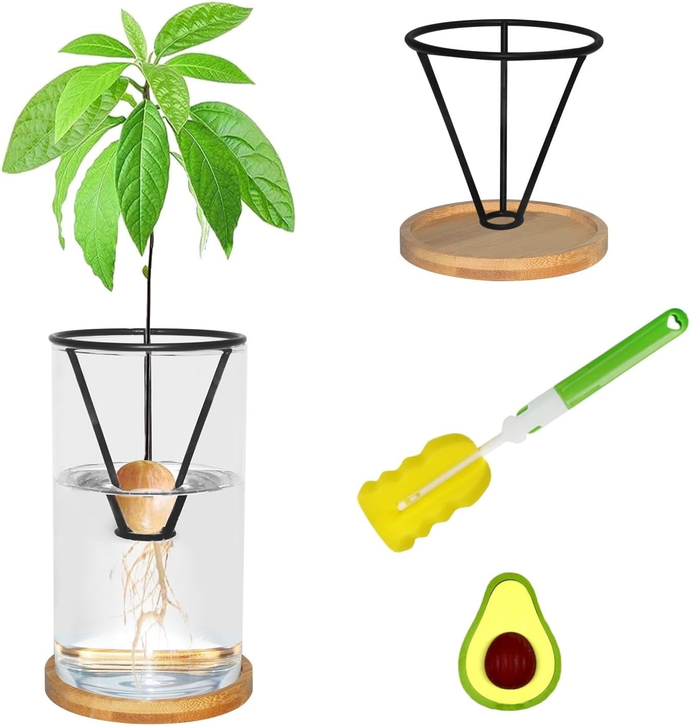 Kit cultivo aguacate con cepillo, base bambú y maceta vidrio