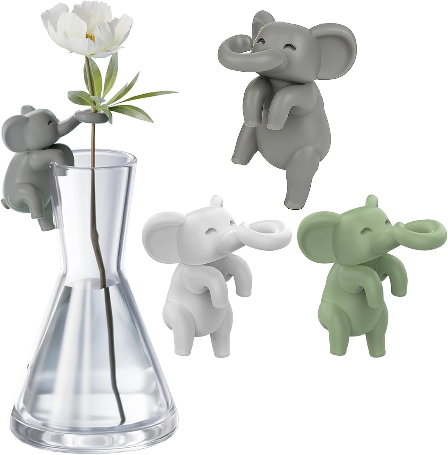 Soporte plantas hidroponía decoración terrario