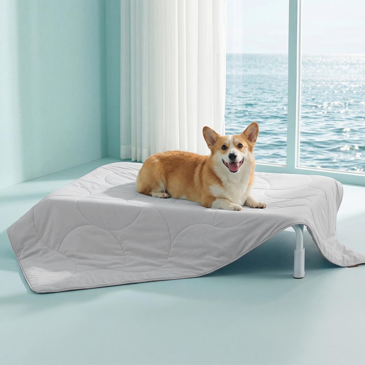 Manta refrescante perros grandes 40x50pulg color gris