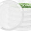 6 Pzas Platillos Plástico Transparente 3-21pulg Plantas