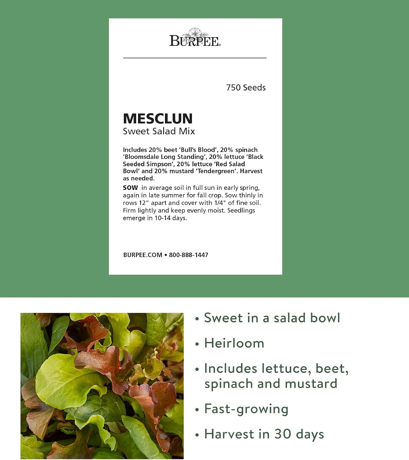 Semillas Mesclun para ensalada 750 unidades