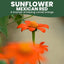 Semillas Girasol Rojo 1oz Temporada 2026
