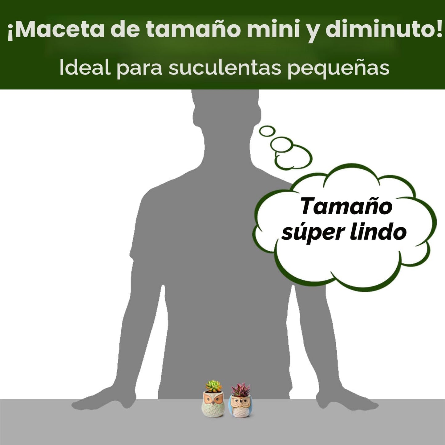 Macetas cerámica suculentas 2.5pulg set 6 decoración hogar