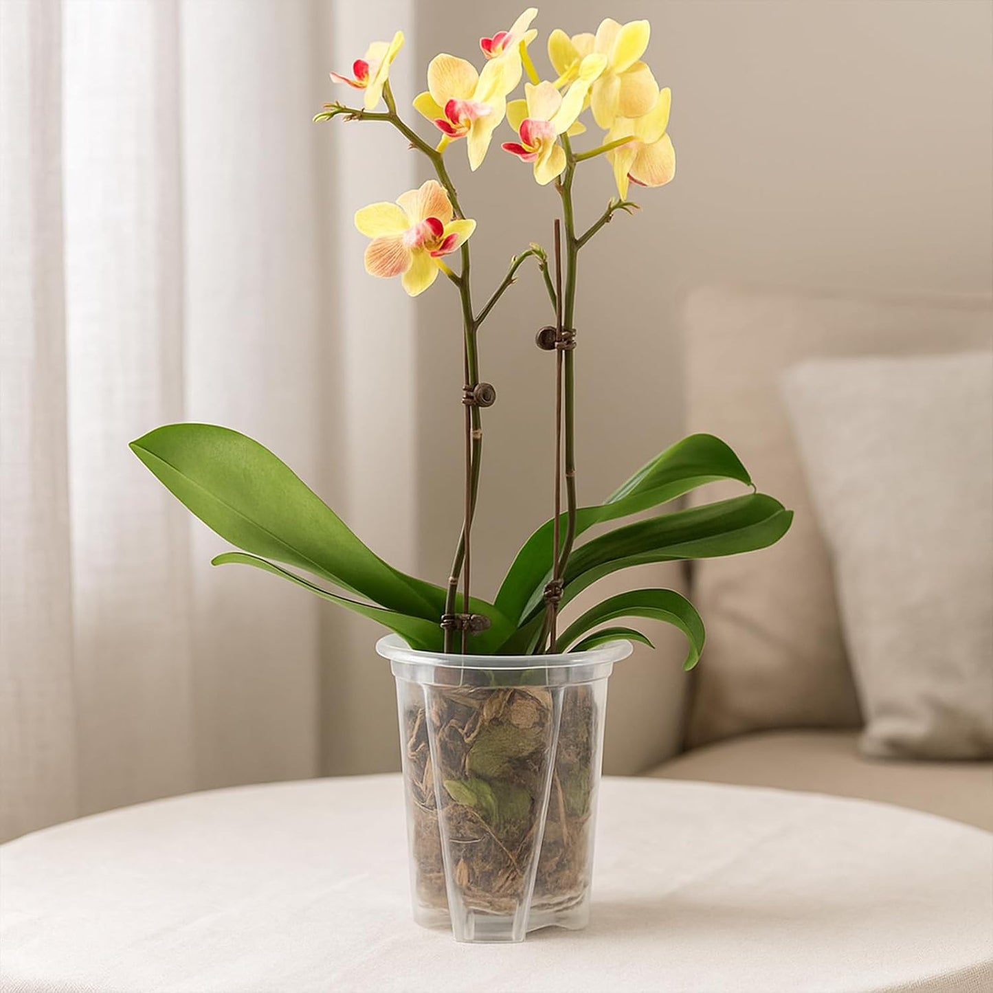6 Pzas Macetas Plástico 4pulg Orquídeas con Drenaje