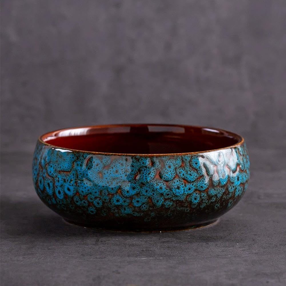 Maceta decorativa para hidropónica cuenco acuático