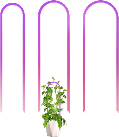 3 Enrejados Acrílicos Coloridos para Plantas en Maceta