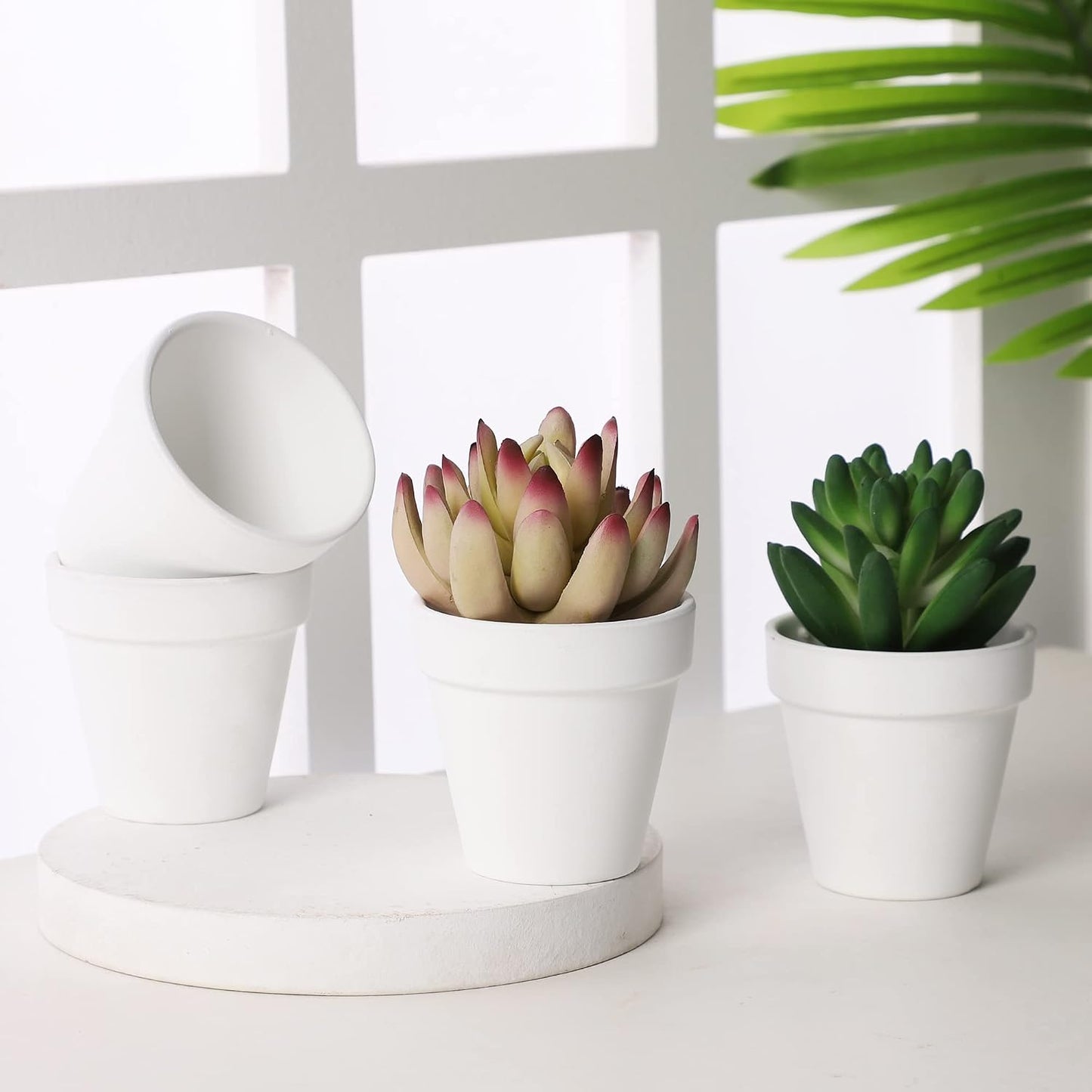 Macetas terracota blanca 2.5pulg con drenaje set 12