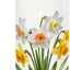 Botella de agua acero inoxidable aislada forma dafodilo
