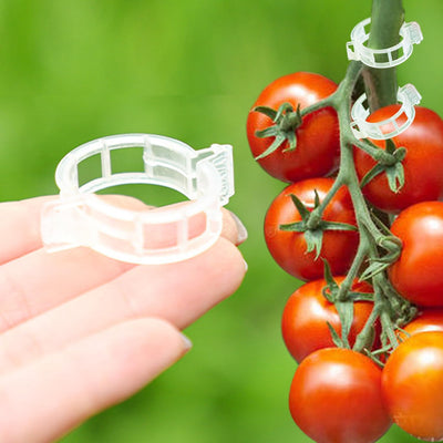 120 Clips Plástico para Plantas Trepadoras y Vid