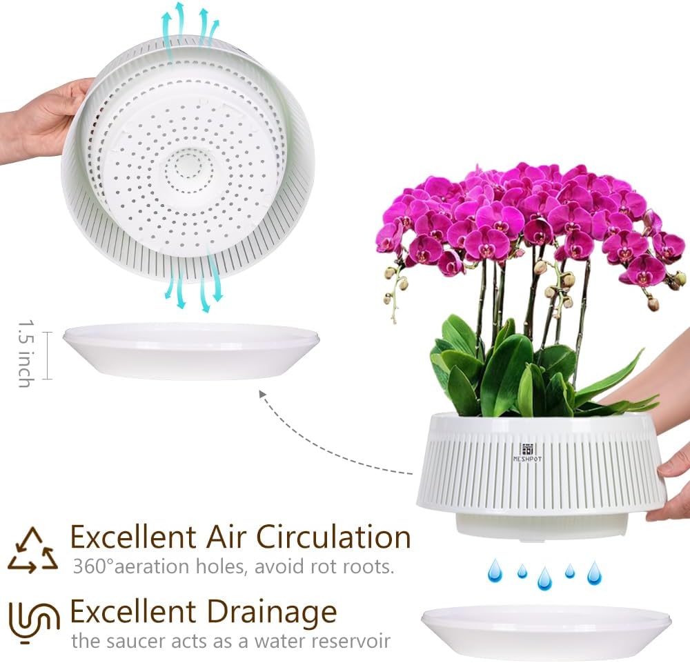 Macetas plástico 8pulg orquídeas con agujeros aire